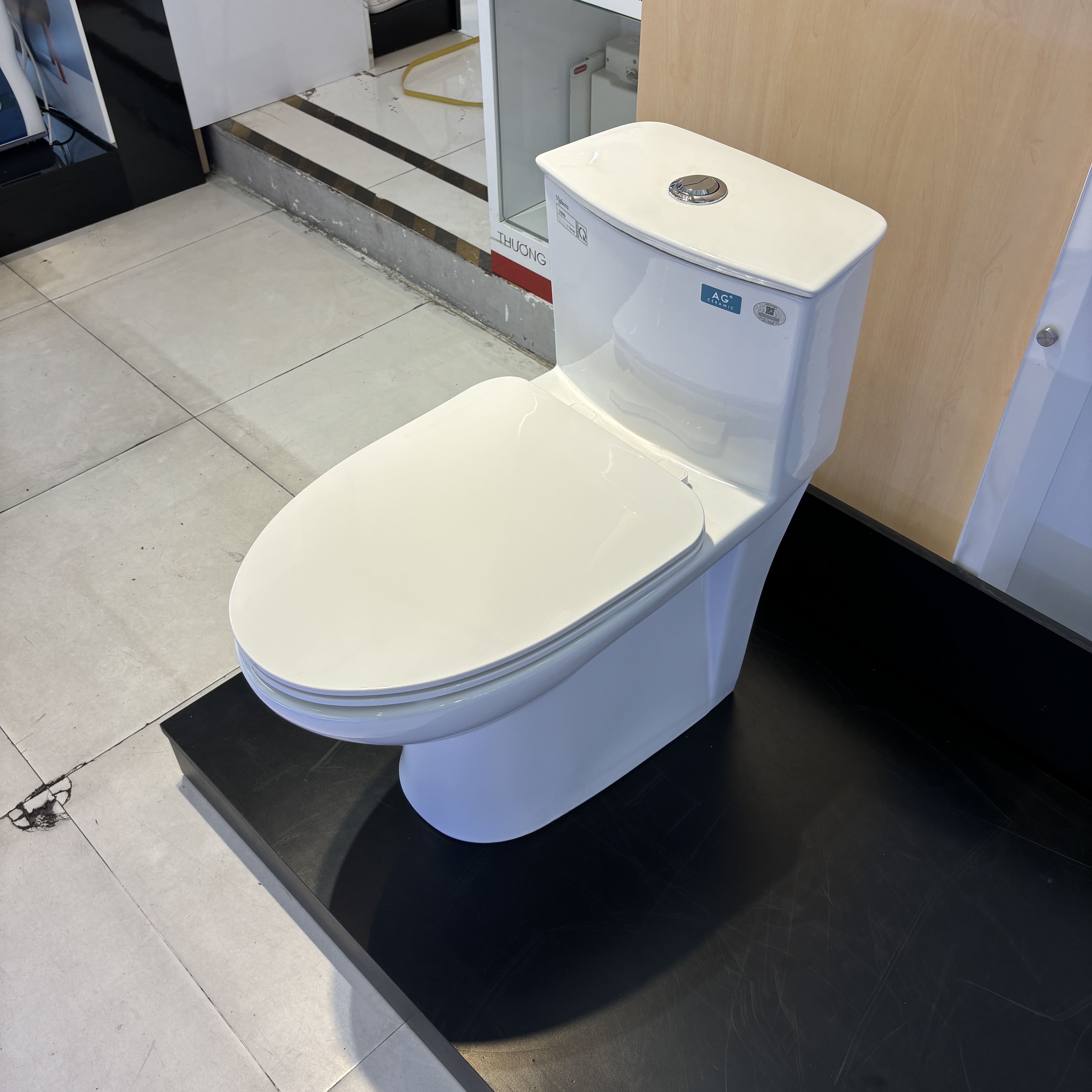 Bồn cầu 1 khối nắp êm Viglacera V819 (+ vòi xịt VG826)