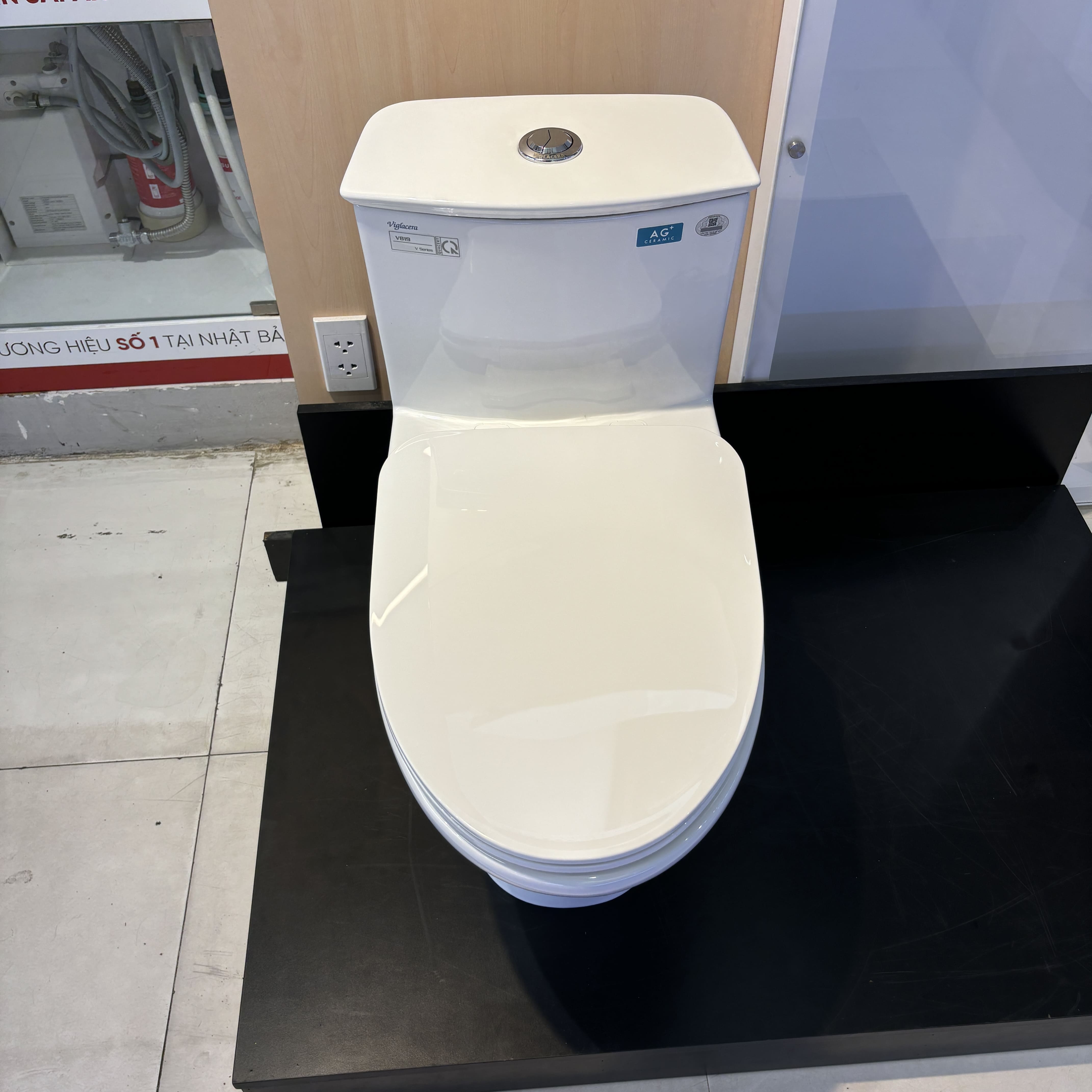Bồn cầu 1 khối nắp êm Viglacera V819 (+ vòi xịt VG826)