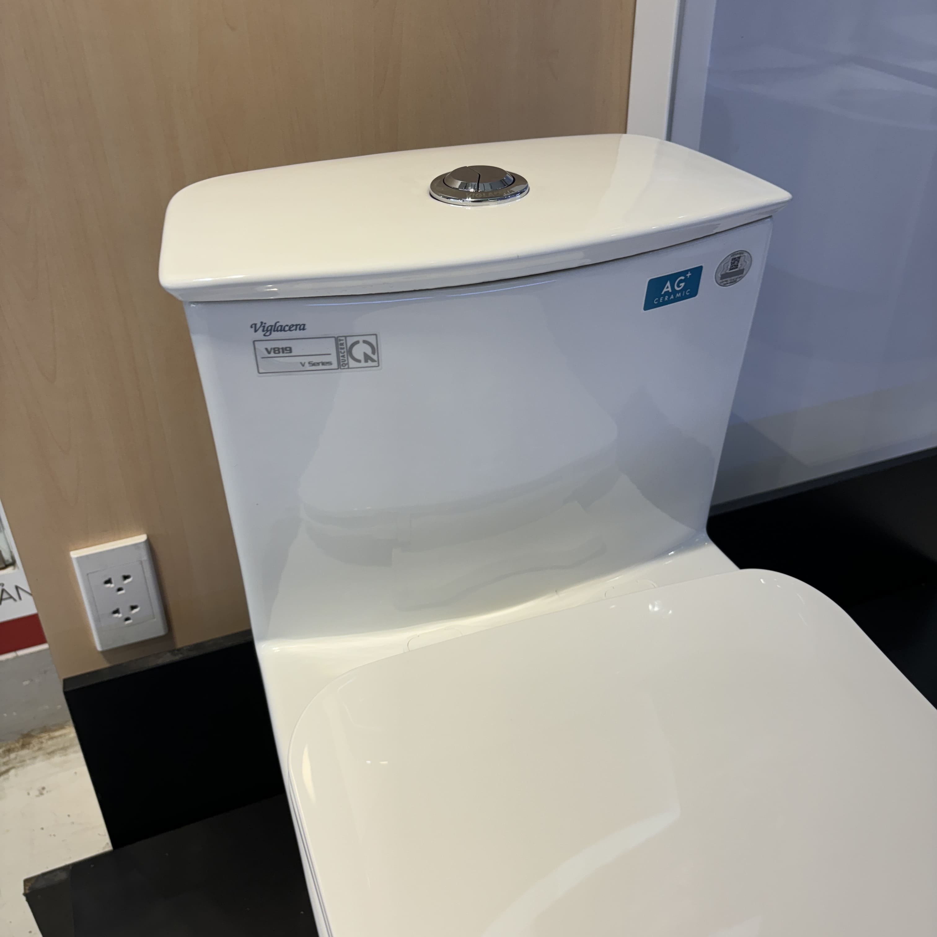 Bồn cầu 1 khối nắp êm Viglacera V819 (+ vòi xịt VG826)