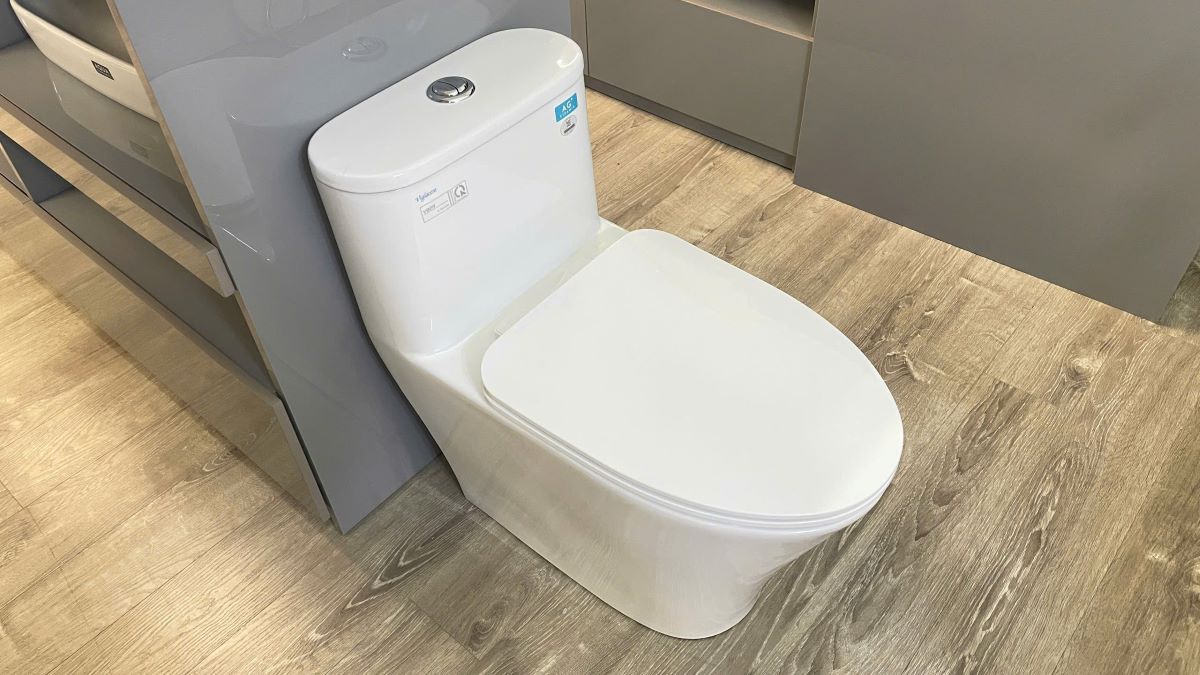 Bồn cầu 1 khối Viglacera V829 nắp êm (+ vòi xịt VG826)