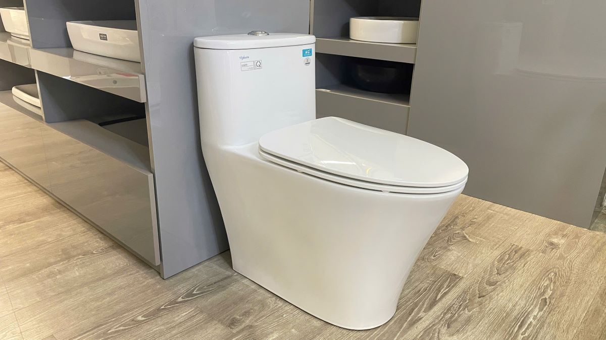 Bồn cầu 1 khối Viglacera V829 nắp êm (+ vòi xịt VG826)