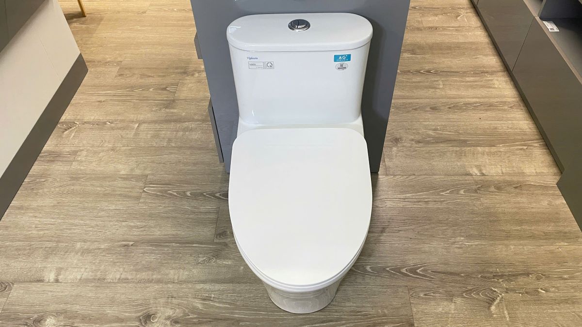 Bồn cầu 1 khối Viglacera V829 nắp êm (+ vòi xịt VG826)