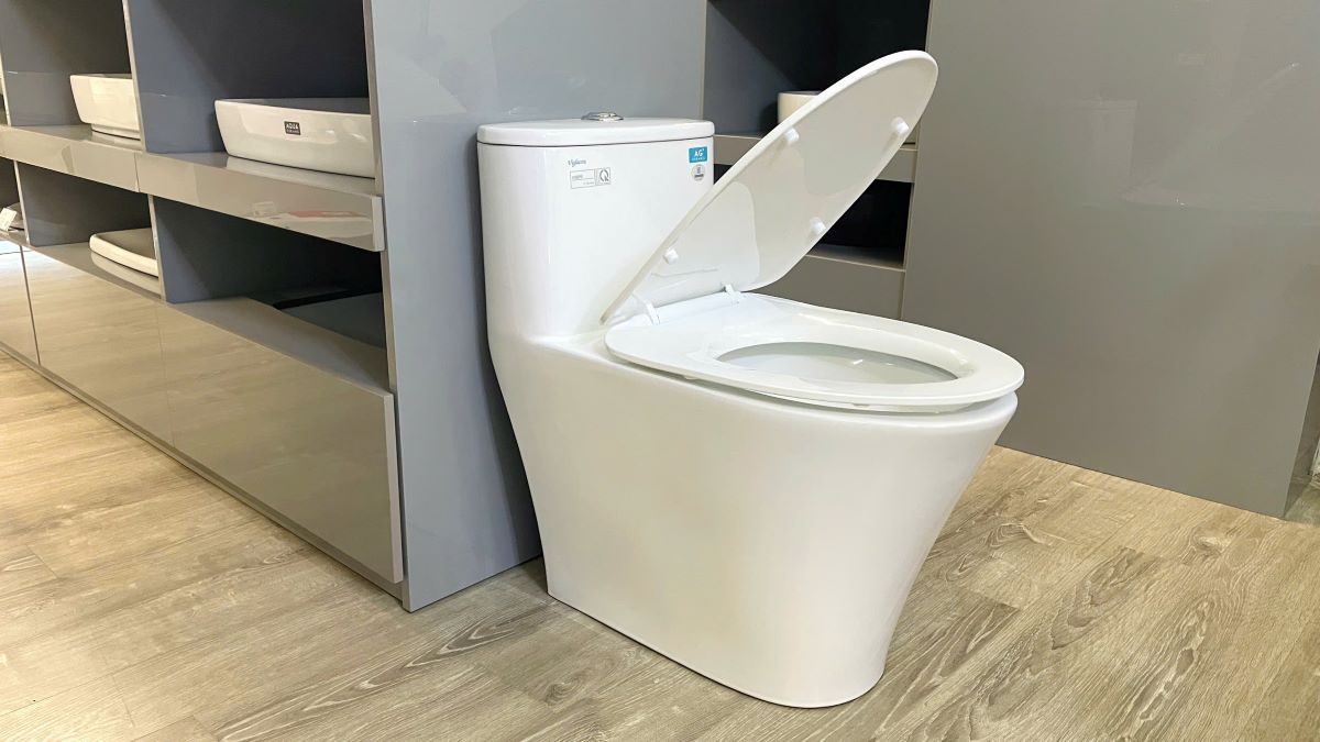 Bồn cầu 1 khối Viglacera V829 nắp êm (+ vòi xịt VG826)