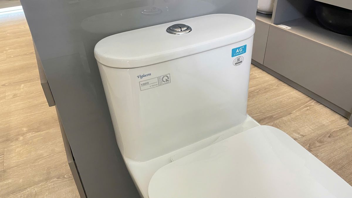 Bồn cầu 1 khối Viglacera V829 nắp êm (+ vòi xịt VG826)