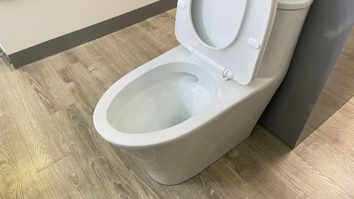 Bồn cầu 1 khối Viglacera V829 nắp êm (+ vòi xịt VG826)