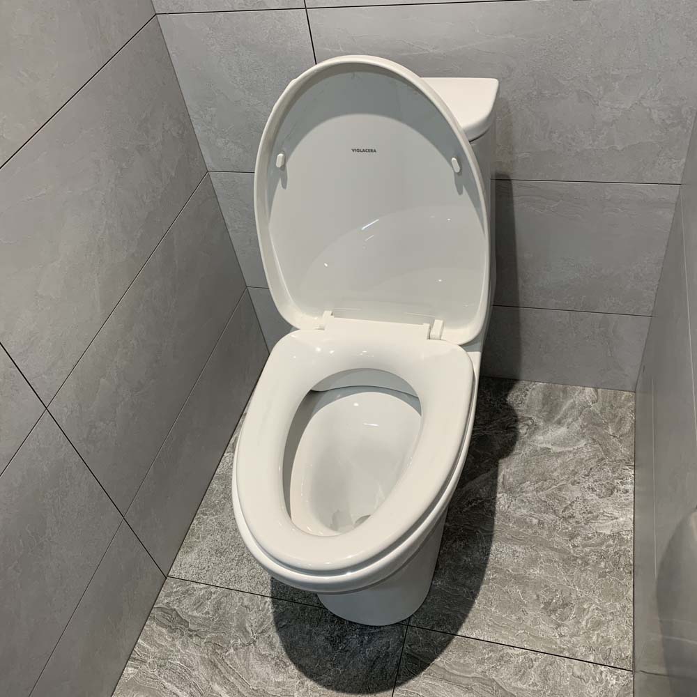 Bồn cầu 1 khối Viglacera V848 nắp êm