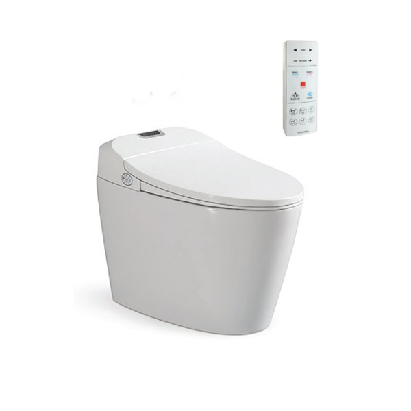 Bồn cầu thông minh 1 khối Viglacera V94