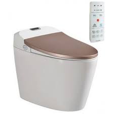 Bồn cầu thông minh 1 khối Viglacera V94