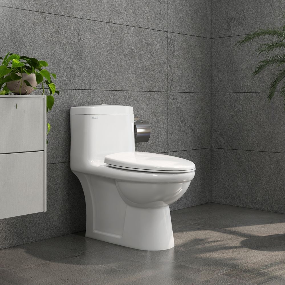 Bồn cầu 1 khối Viglacera BL5 nắp êm xả thẳng (+ vòi xịt VG826)