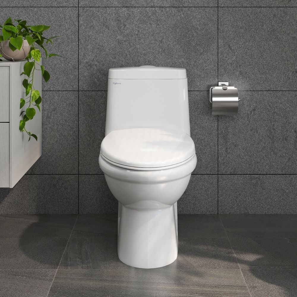 Bồn cầu 1 khối Viglacera BL5 nắp êm xả thẳng (+ vòi xịt VG826)