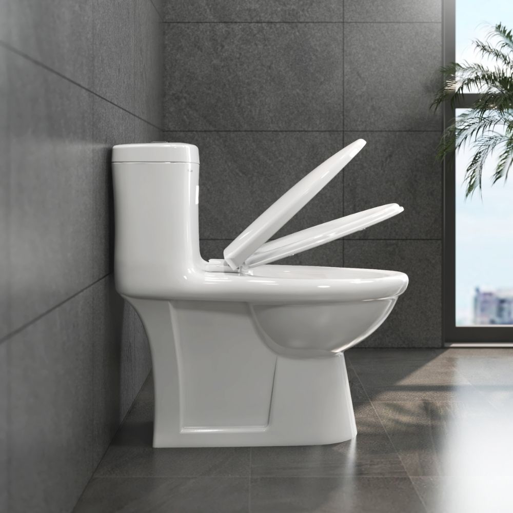 Bồn cầu 1 khối Viglacera BL5 nắp êm xả thẳng (+ vòi xịt VG826)