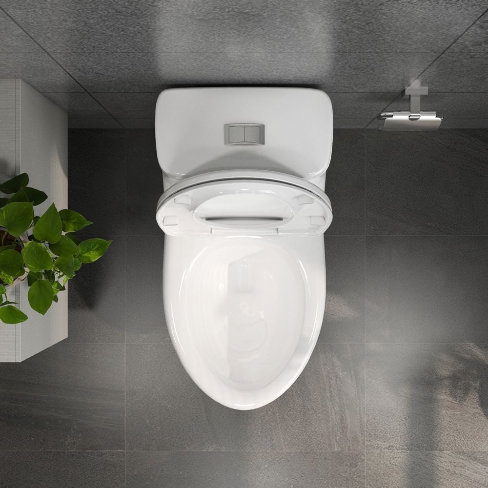 Bồn cầu 1 khối Viglacera BL5 nắp êm xả thẳng (+ vòi xịt VG826)