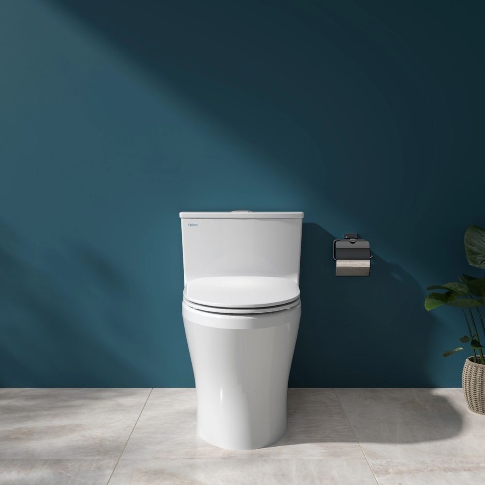 Bồn cầu 1 khối Viglacera HL2 nắp êm (+ vòi xịt VG826 & van VG853)