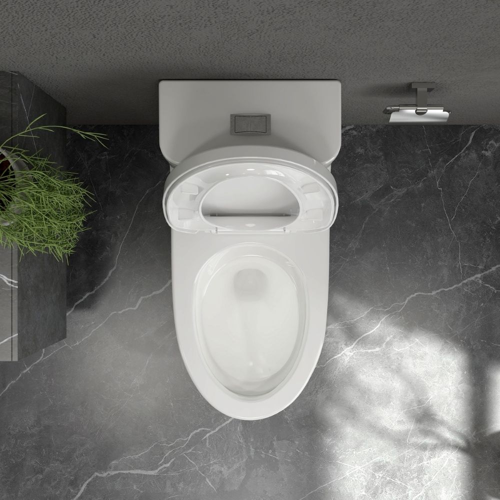 Bồn cầu 1 khối Viglacera Mekong (MK2) nắp êm (+ vòi xịt VG826)