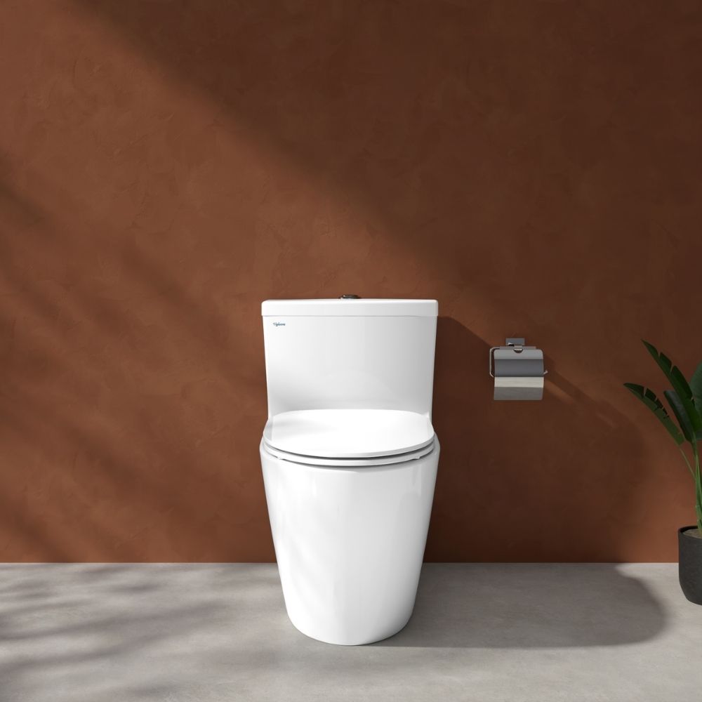 Bồn cầu 1 khối Viglacera V62 nắp êm (+ vòi xịt VG826 & van VG853)