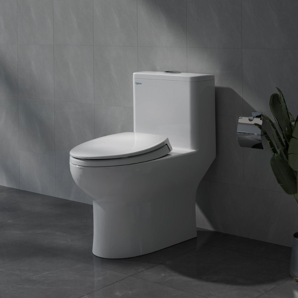 Bồn cầu 1 khối Viglacera V64 nắp êm (+ vòi xịt VG826 & van VG853)