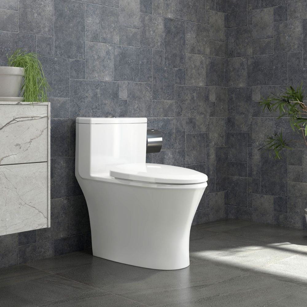 Bồn cầu 1 khối nắp êm Viglacera V803 (+ vòi xịt VG826)