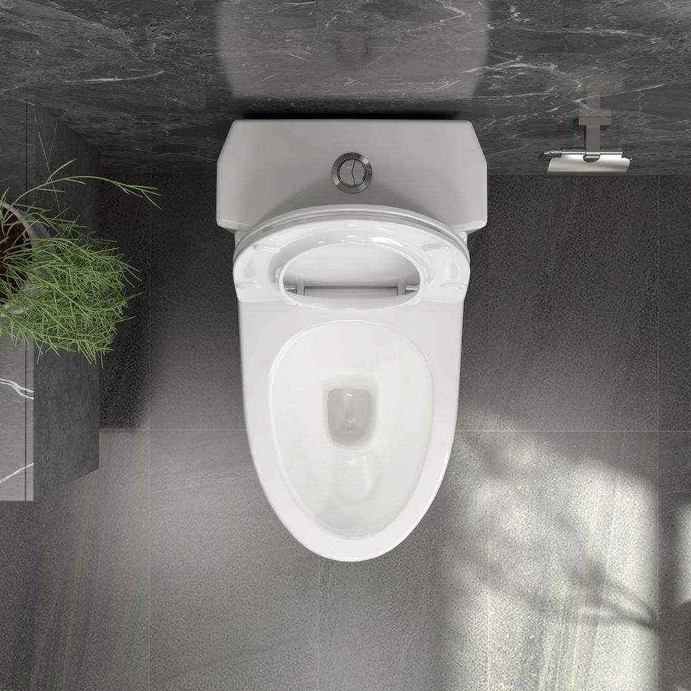 Bồn cầu 1 khối nắp êm Viglacera V803 (+ vòi xịt VG826)