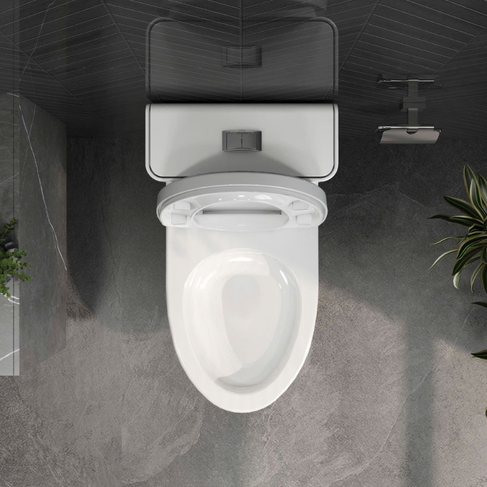 Bồn cầu 1 khối Viglacera V808 nắp êm (+ vòi xịt VG826 & van VG853)