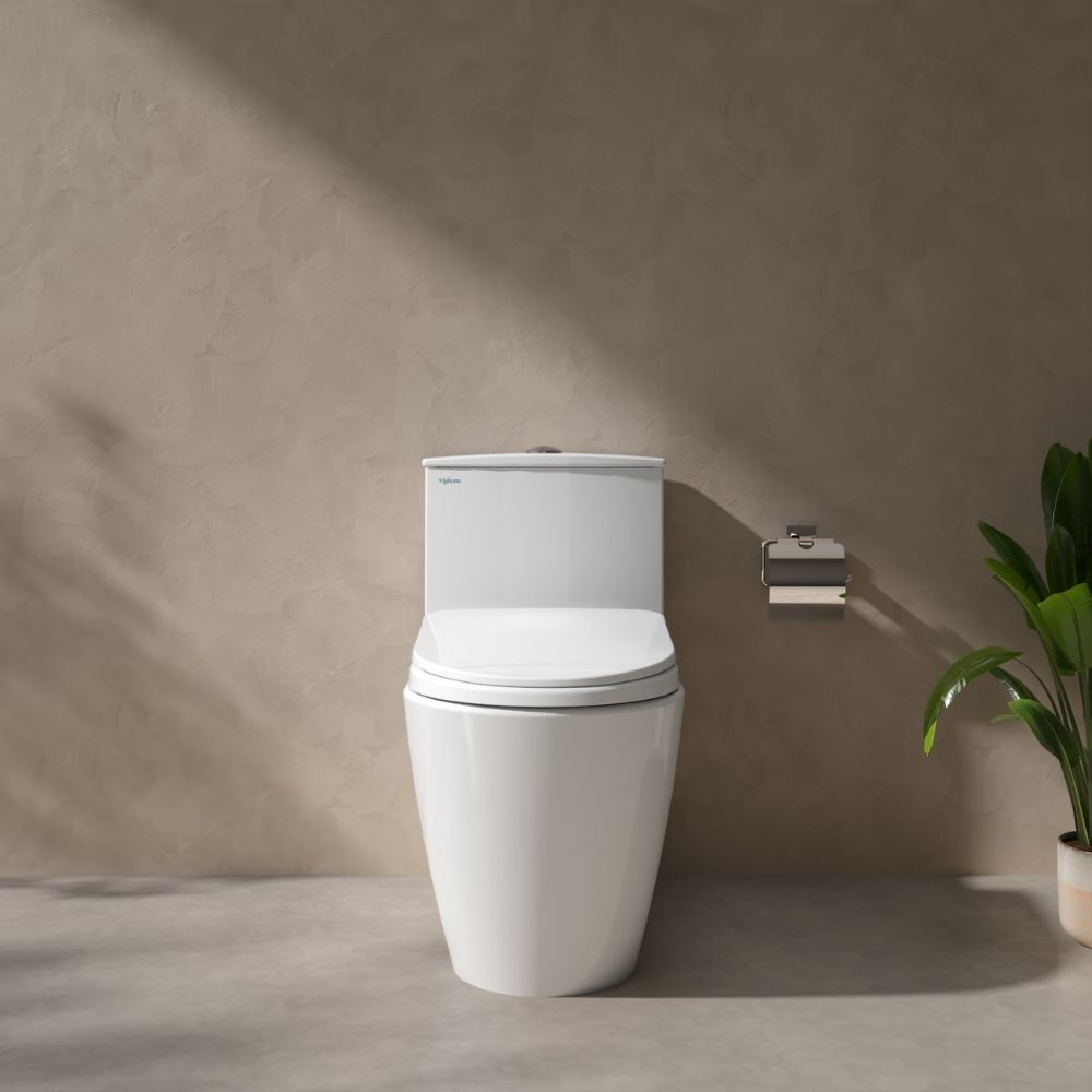 Bồn cầu 1 khối Viglacera V816 nắp êm (+ vòi xịt VG826 & van VG853)