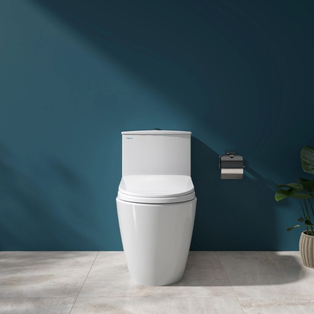 Bồn cầu 1 khối Viglacera V817 nắp êm (+ vòi xịt VG826 & van VG853)