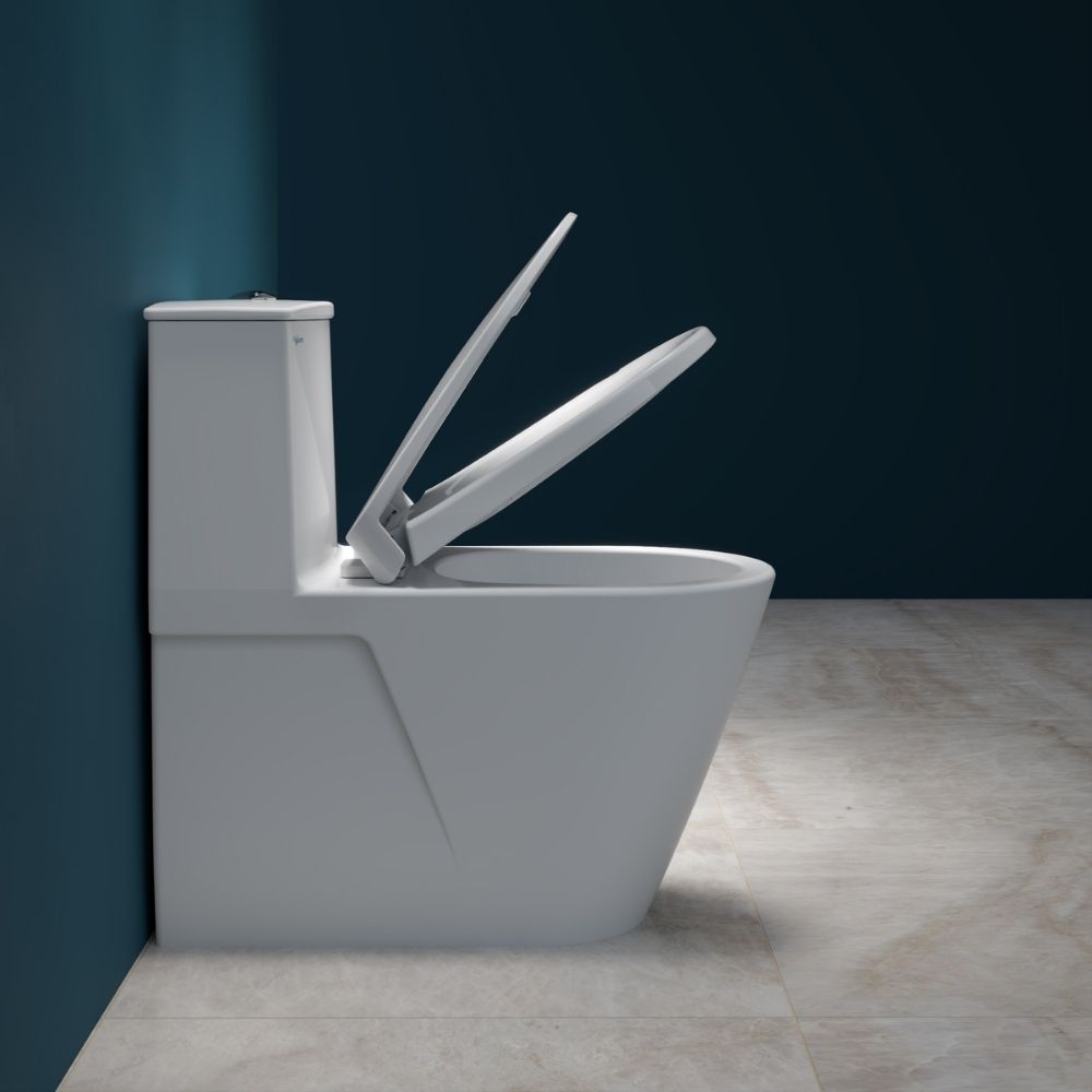 Bồn cầu 1 khối Viglacera V817 nắp êm (+ vòi xịt VG826 & van VG853)