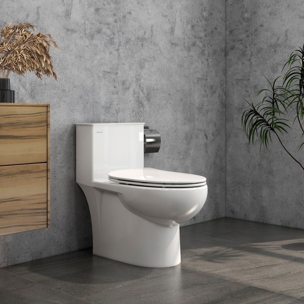 Bồn cầu 1 khối nắp êm Viglacera V819 (+ vòi xịt VG826)