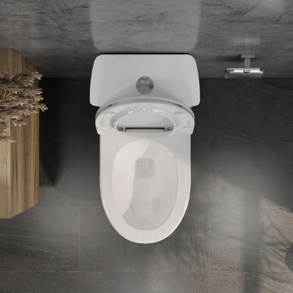 Bồn cầu 1 khối nắp êm Viglacera V819 (+ vòi xịt VG826)