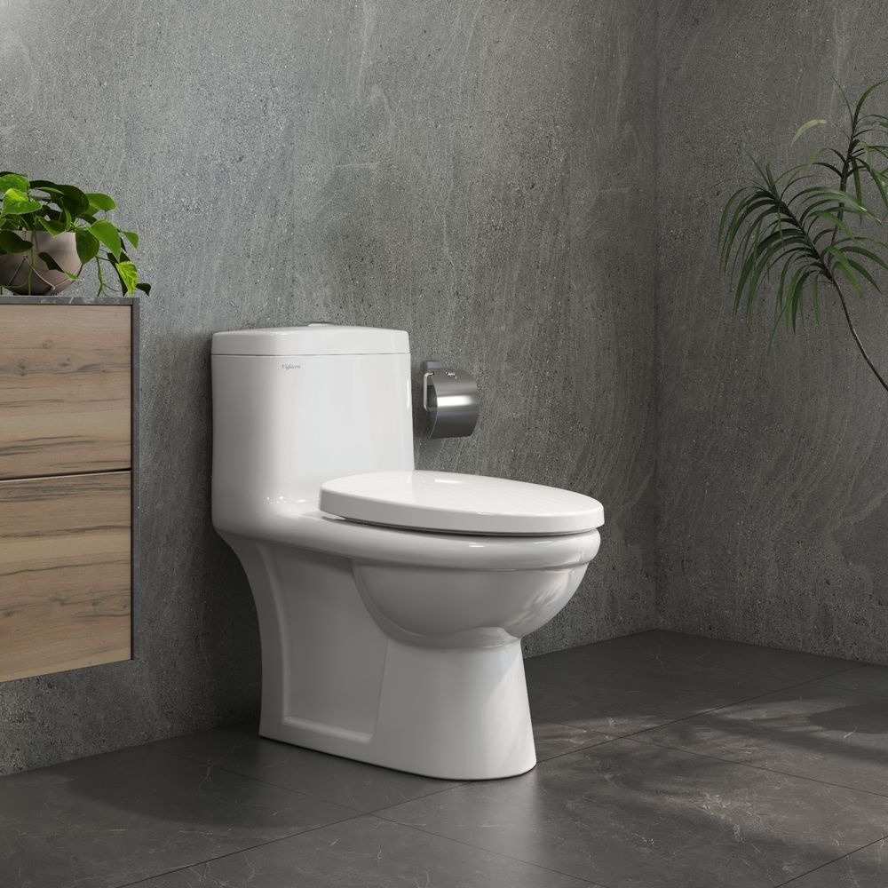 Bồn cầu 1 khối nắp êm Viglacera V825 (+ vòi xịt VG826)