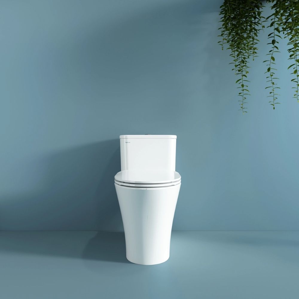 Bồn cầu 1 khối Viglacera V829 nắp êm (+ vòi xịt VG826)