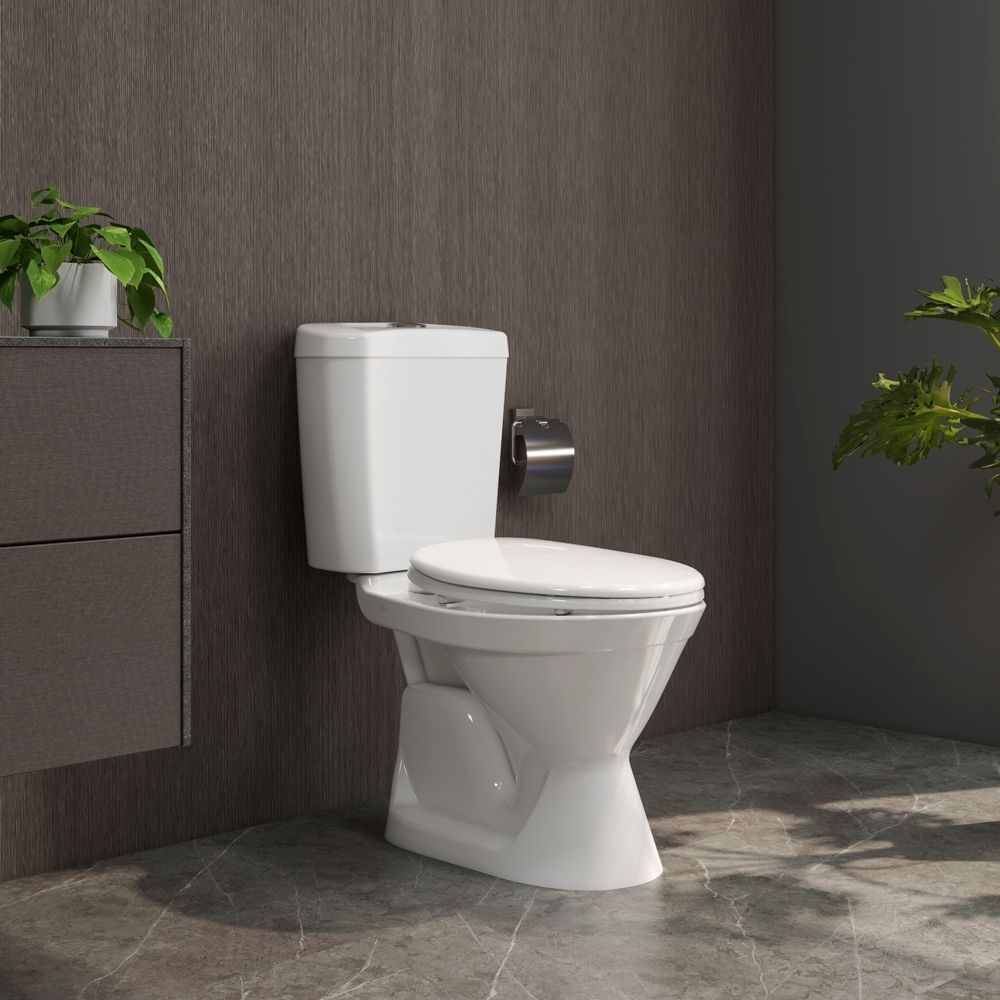 Bồn cầu 2 khối Viglacera VI66 nắp thường / nắp êm