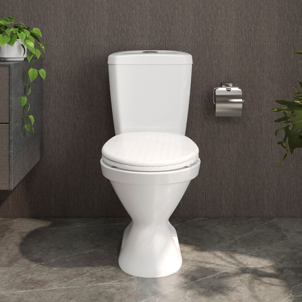 Bồn cầu 2 khối Viglacera VI66 nắp thường / nắp êm