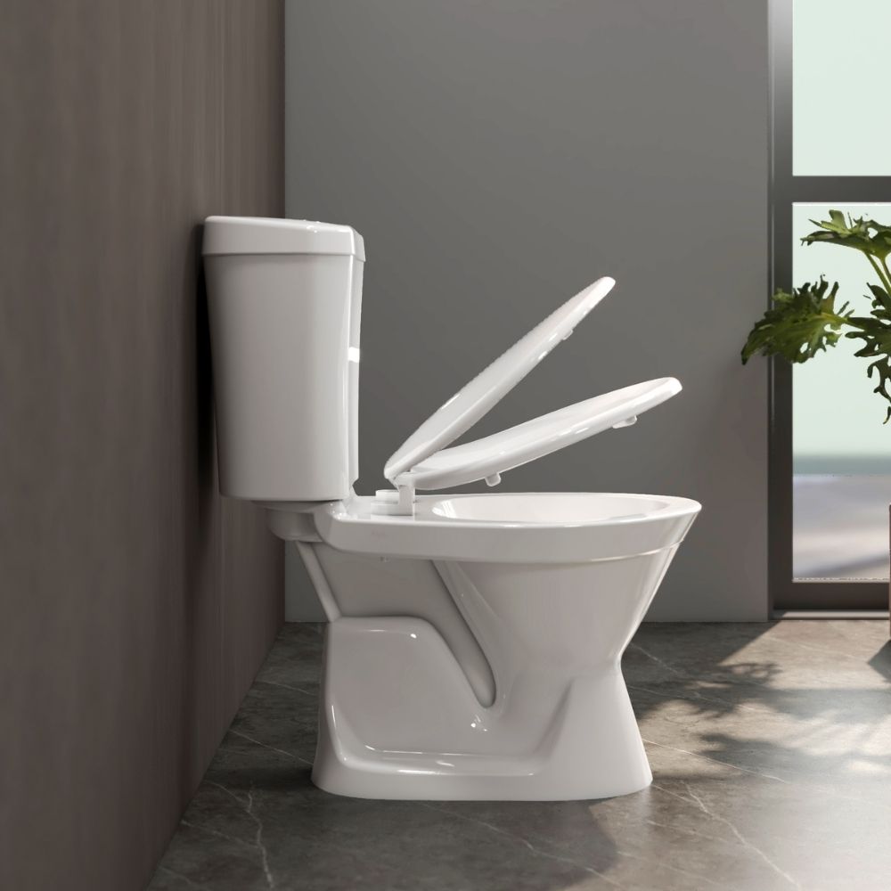 Bồn cầu 2 khối Viglacera VI66 nắp thường / nắp êm